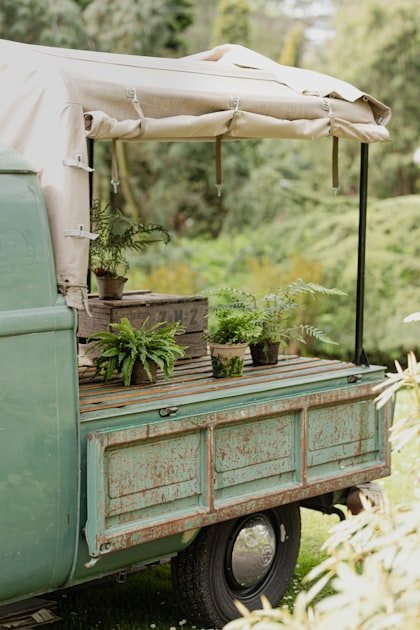 The Best Plants for RV Living
