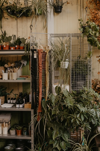 Creating a Plant-Friendly RV Space