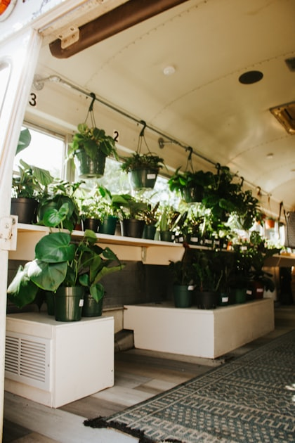 Traveling with Plants: Tips for RV Life